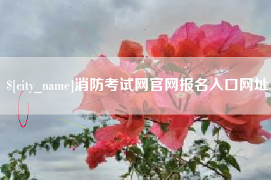 武威消防考试网官网报名入口网址