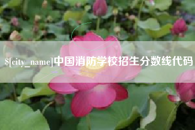 武威中国消防学校招生分数线代码