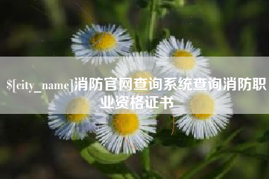 武威消防官网查询系统查询消防职业资格证书