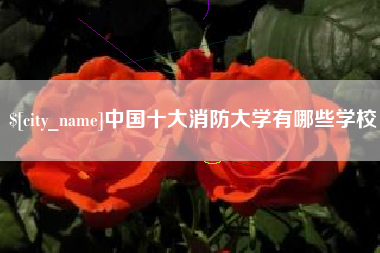 武威中国十大消防大学有哪些学校