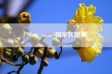 武威国家队图案