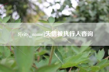 武威失信被执行人杳询