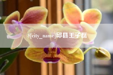 武威邱县王子磊