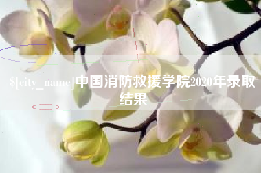 武威中国消防救援学院2020年录取结果