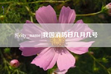 武威我国消防日几月几号