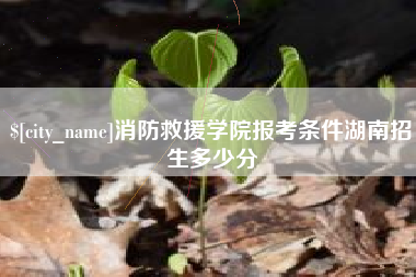 武威消防救援学院报考条件湖南招生多少分