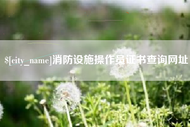 武威消防设施操作员证书查询网址