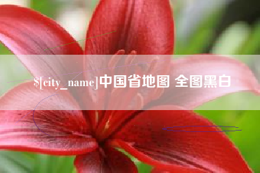 武威中国省地图 全图黑白