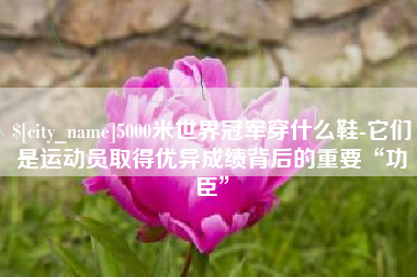 武威5000米世界冠军穿什么鞋-它们是运动员取得优异成绩背后的重要“功臣”