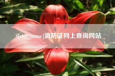 武威消防证网上查询网站