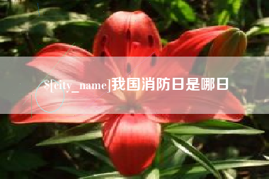 武威我国消防日是哪日