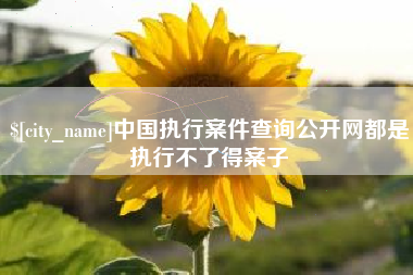 武威中国执行案件查询公开网都是执行不了得案子