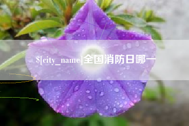 武威全国消防日哪一