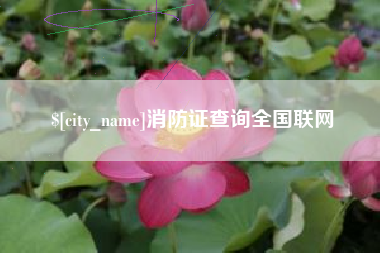 武威消防证查询全国联网