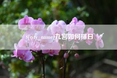 武威九宫如何排日