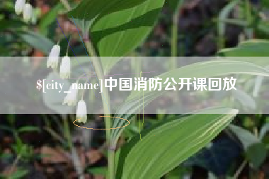 武威中国消防公开课回放