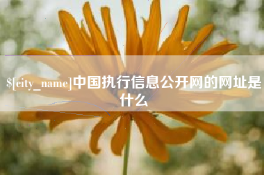 武威中国执行信息公开网的网址是什么