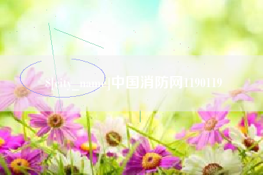 武威中国消防网1190119
