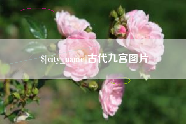 武威古代九宫图片