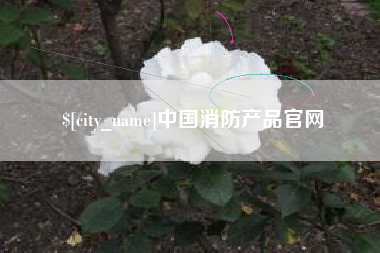 武威中国消防产品官网