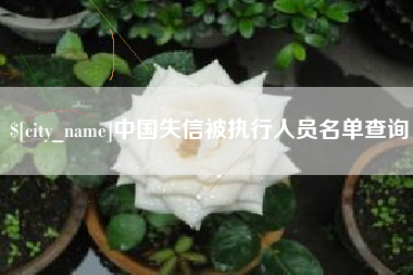 武威中国失信被执行人员名单查询