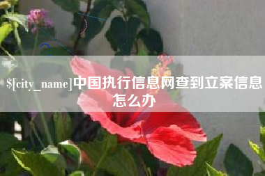 武威中国执行信息网查到立案信息怎么办