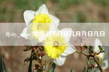 武威我国消防日是几月几日几日