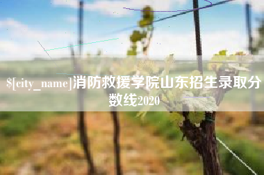 武威消防救援学院山东招生录取分数线2020