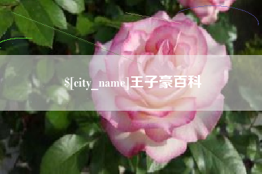 武威王子豪百科