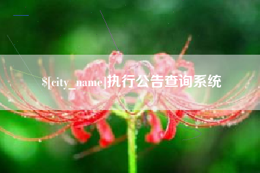武威执行公告查询系统