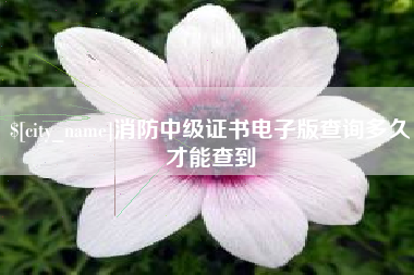 武威消防中级证书电子版查询多久才能查到
