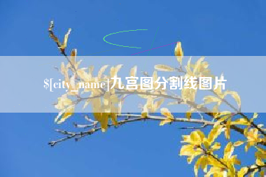 武威九宫图分割线图片