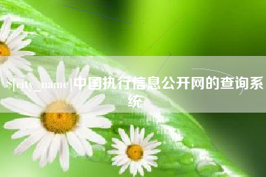 武威中国执行信息公开网的查询系统
