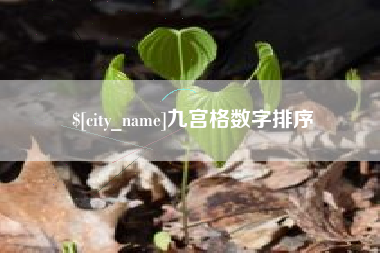 武威九宫格数字排序