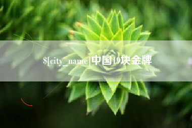 武威中国19块金牌