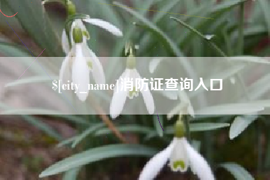 武威消防证查询入口