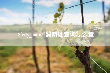 武威消防证查询怎么查