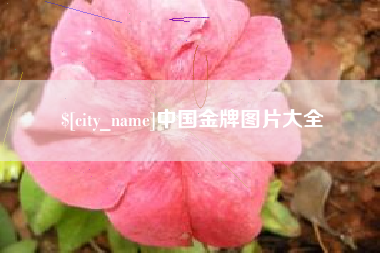 武威中国金牌图片大全