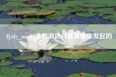 武威全国消防日是从哪年发起的