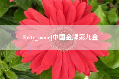 武威中国金牌第九金