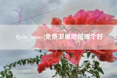 武威免费卫星地图哪个好