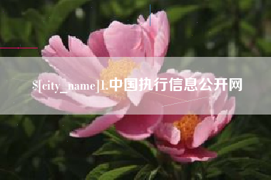 武威1.中国执行信息公开网