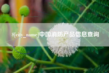 武威中国消防产品信息查询