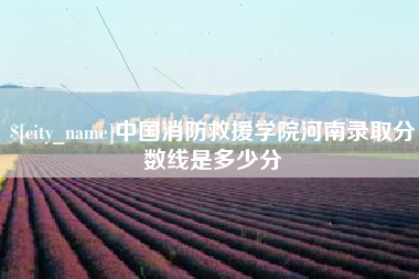 武威中国消防救援学院河南录取分数线是多少分