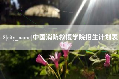 武威中国消防救援学院招生计划表