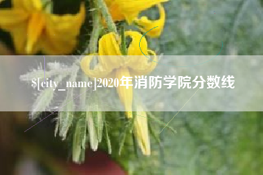 武威2020年消防学院分数线
