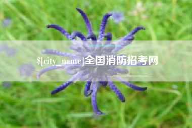 武威全国消防招考网