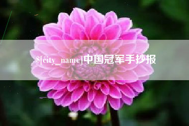 武威中国冠军手抄报