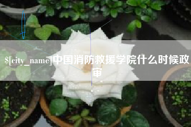 武威中国消防救援学院什么时候政审