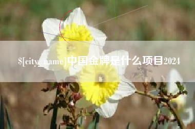 武威中国金牌是什么项目2024